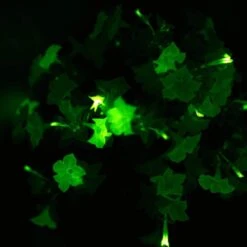 Firefly Petunia Live Outdoor Plant In 45mm Mesh Plug Avg. Shipping Height 5-6 In. Tall (3-Pack) -ECO PLANTS SHOP costa farms annuals p ffp g pot 03 hd 4f 1000