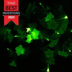 Firefly Petunia Live Outdoor Plant In 45mm Mesh Plug Avg. Shipping Height 5-6 In. Tall (3-Pack) -ECO PLANTS SHOP costa farms annuals p ffp g pot 03 hd d4 1000