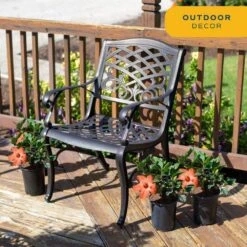 Orange Premium Hibiscus Tropical Live Outdoor Plant In 1 Qt. Grower Pot, Avg. Shipping Height 1-2 Ft. Tall (4-Pack) -ECO PLANTS SHOP costa farms annuals qthibyel4pk 4f 1000