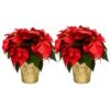 6 In. Holiday Live Indoor Poinsettia In Gold Pot Cover (2-Pack)