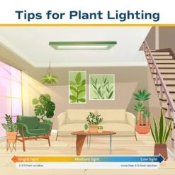 Zamioculas Zamiifolia Indoor ZZ Plant In 10 In. Decor Planter, Avg. Shipping Height 1-2 Ft. Tall -ECO PLANTS SHOP costa farms house plants co 3 zc10 parwht fa 1000