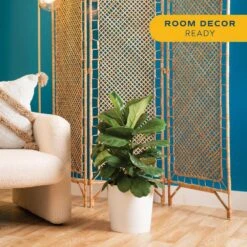 Fiddle Leaf Fig Indoor Plant In 10 In. Decor Planter, Avg. Shipping Height 2-3 Ft. Tall 17 Fiddle Leaf Fig Indoor Plant In 10 In. Decor Planter, Avg. Shipping Height 2-3 Ft. Tall -ECO PLANTS SHOP costa farms house plants co fli10 3 sgwht 31 1000