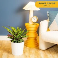 Grower's Choice Calathea Indoor Plant In 10 In. Decor Planter, Avg. Shipping Height 2-3 Ft. Tall 14 Grower's Choice Calathea Indoor Plant In 10 In. Decor Planter, Avg. Shipping Height 2-3 Ft. Tall -ECO PLANTS SHOP costa farms house plants l cal s wcp 01 1f 1000