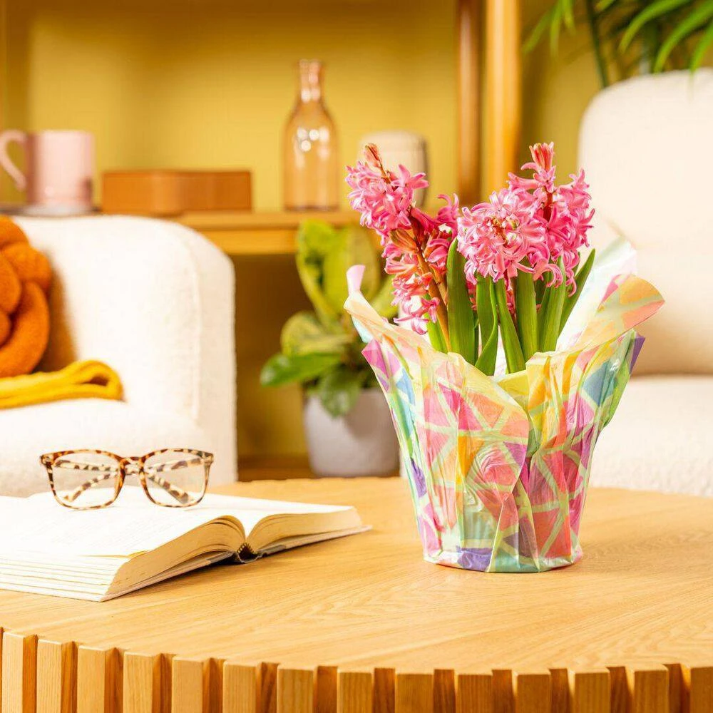 6 In. Pink Hyacinth Plant In Easter Decor Mylar Wrap, Average Shipping Height 10 In. Tall 9 6 In. Pink Hyacinth Plant In Easter Decor Mylar Wrap, Average Shipping Height 10 In. Tall - Image 7