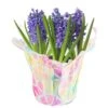 6 In. Purple Hyacinth Plant In Easter Decor Mylar Wrap, Average Shipping Height 10 In. Tall -ECO PLANTS SHOP costa farms perennials m hy4 w emy 01 64 1000