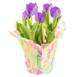 6 In. Purple Tulip Plant In Easter Decor Mylar Wrap, Average Shipping Height 10 In. Tall