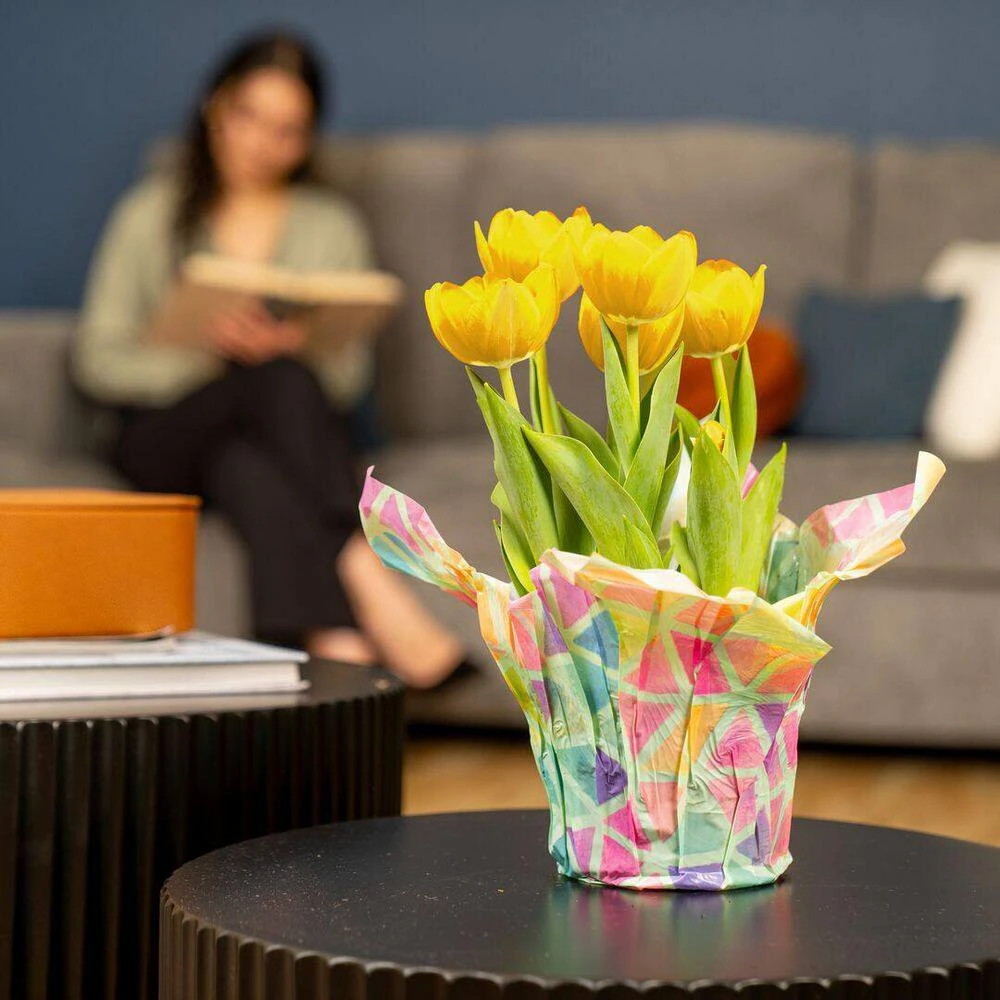 6 In. Yellow Tulip Plant In Easter Decor Mylar Wrap, Average Shipping Height 10 In. Tall 9 6 In. Yellow Tulip Plant In Easter Decor Mylar Wrap, Average Shipping Height 10 In. Tall - Image 7