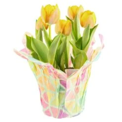 6 In. Yellow Tulip Plant In Easter Decor Mylar Wrap, Average Shipping Height 10 In. Tall