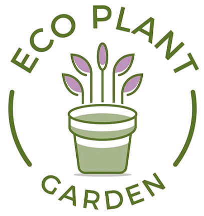 ECO PLANTS SHOP